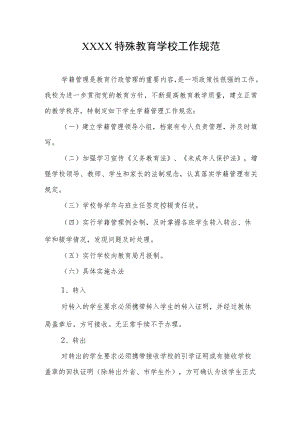 特殊教育学校工作规范.docx