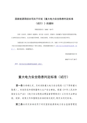 重大电力安全隐患判定标准（试行）2022.docx