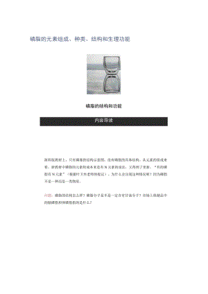 磷脂的元素组成、种类、结构和生理功能.docx