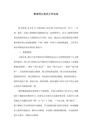 新进人员工作总结.docx