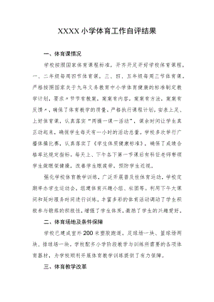 小学体育工作自评结果.docx
