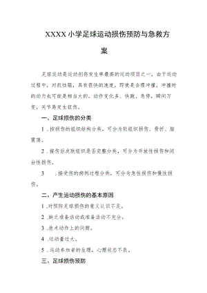 小学足球运动损伤预防与急救方案.docx