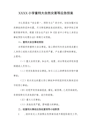 小学重特大自然灾害等应急预案.docx