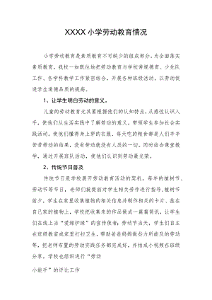 小学劳动教育情况.docx