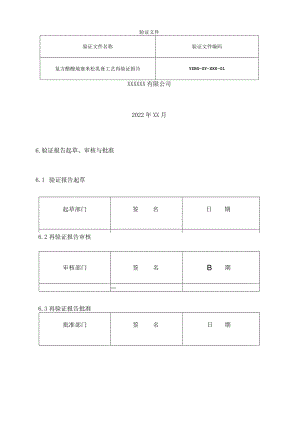 工艺验证报告.docx