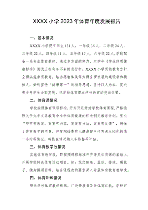 小学2023年体育年度发展报告.docx