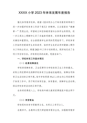 小学2023年体育发展年度报告.docx