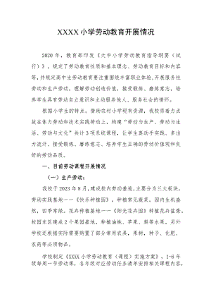 小学劳动教育开展情况.docx