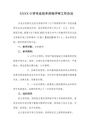 小学专业技术资格评审工作办法.docx