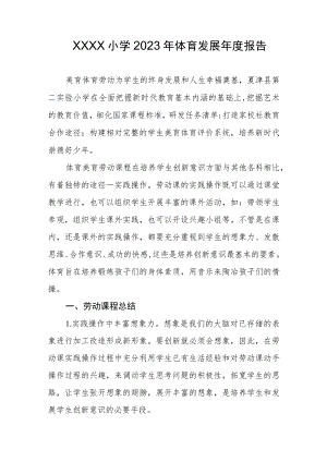 小学2023年体育发展年度报告(7).docx
