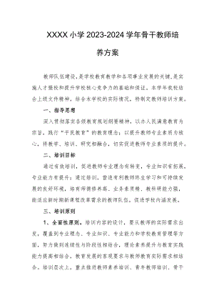 小学2023-2024学年骨干教师培养方案.docx