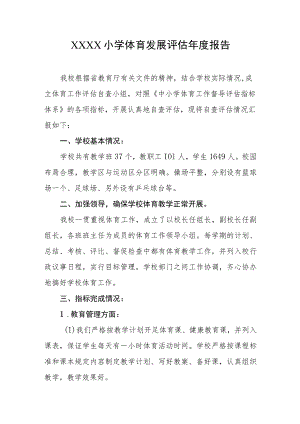 小学体育发展评估年度报告.docx