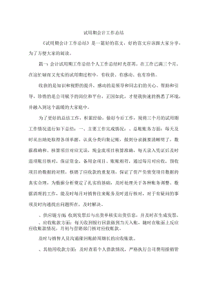 试用期会计工作总结.docx