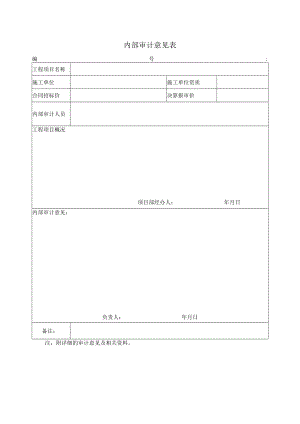 内部审计意见表.docx