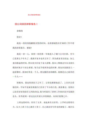 因公司原因辞职报告.docx