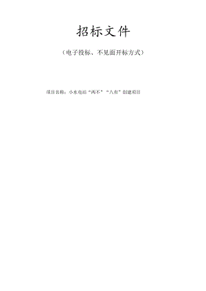 小水电站“两不”“八有”创建项目招标文件.docx
