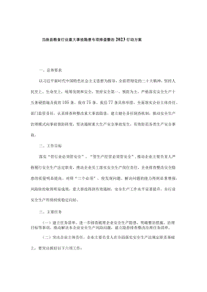 粮食行业重大事故隐患专项排查整治2023行动方案.docx