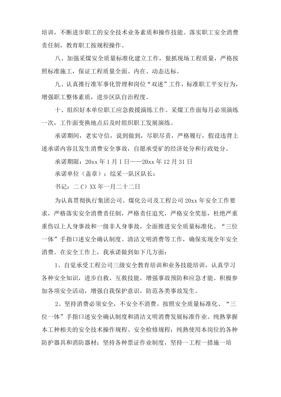 安全承诺书5篇.docx_第2页