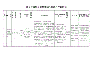 蓼兰镇宜昌路和芙蓉路改造提升工程项目.docx