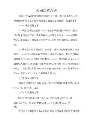 公司运营总结.docx