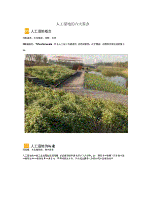 人工湿地的六大要点.docx