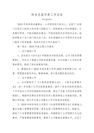 财务总监年度工作总结.docx