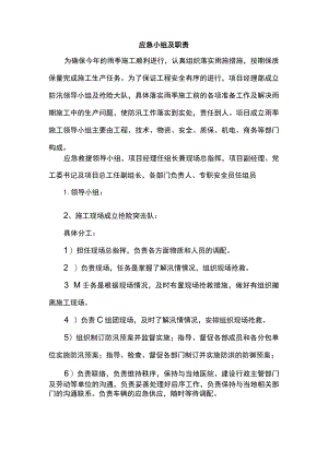 应急小组及职责.docx