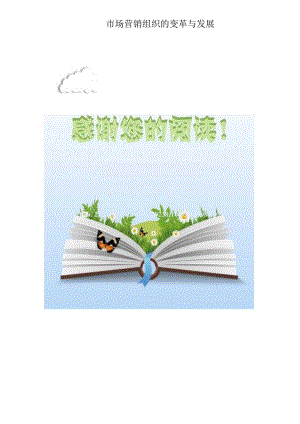 市场营销组织的变革与发展.docx