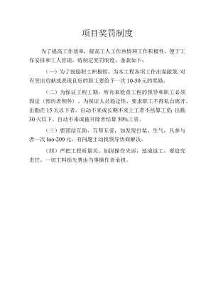 项目奖罚制度.docx