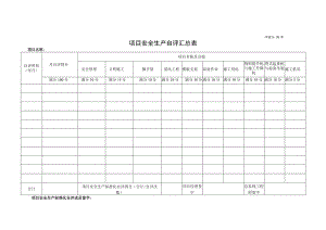 项目安全生产自评汇总表.docx