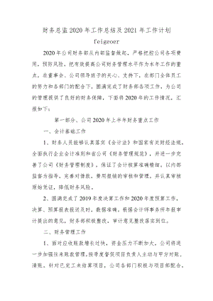 财务总监2020年工作总结及2021年工作计划.docx