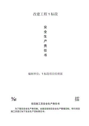 项目施工员安全生产责任书.docx