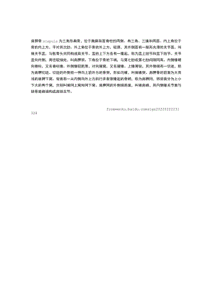 肩胛骨的结构与解剖简述.docx