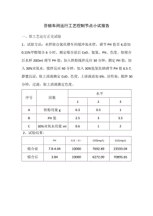 芬顿车间运行小试报告.docx