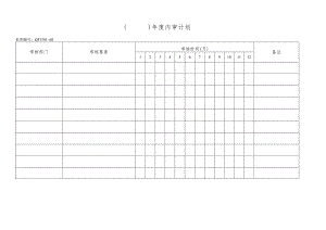 年度内审计划.docx