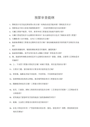 预算审查提纲.docx