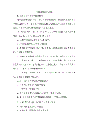 项目进度控制措施.docx