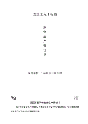 项目测量队长安全生产责任书.docx