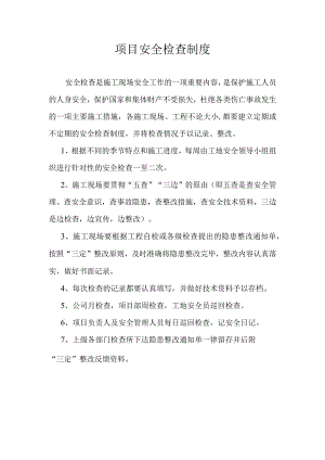 项目检查制度.docx