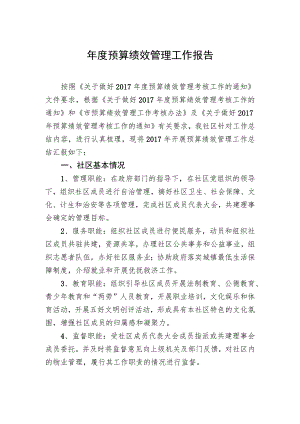 年度预算绩效管理工作报告.docx