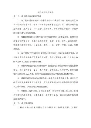 项目组织管理机构 .docx