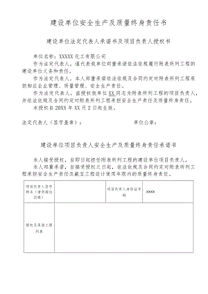 建设单位安全生产及质量终身责任书.docx