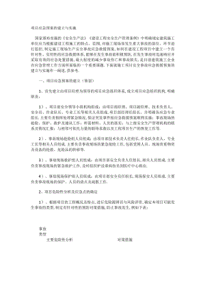 项目应急处置预案的建立与实施.docx