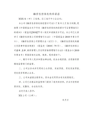 融资性担保机构承诺函.docx