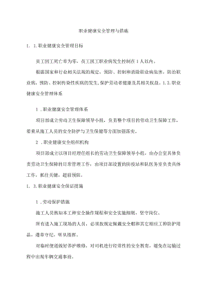 职业健康安全管理与措施.docx
