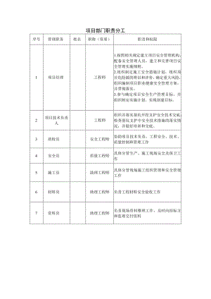 项目部门职责分工.docx