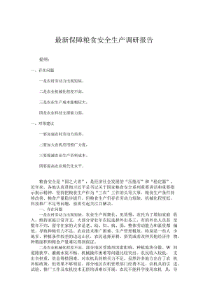 最新保障粮食安全生产调研报告.docx