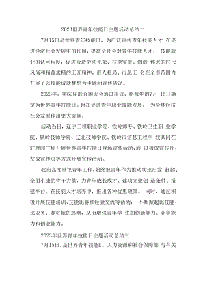 2023世界青年技能日主题活动总结二.docx