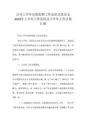 公司上半年纪检监察工作总结及党总支2023年上半年工作总结及下半年工作计划汇报.docx