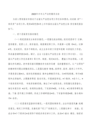 2023年半年从严治党履责总结.docx